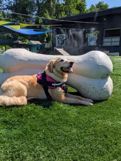 Taps & Tails - Cleveland, OH