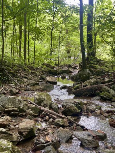 Cleveland Barrens Natural Area Preserve - Cleveland, VA