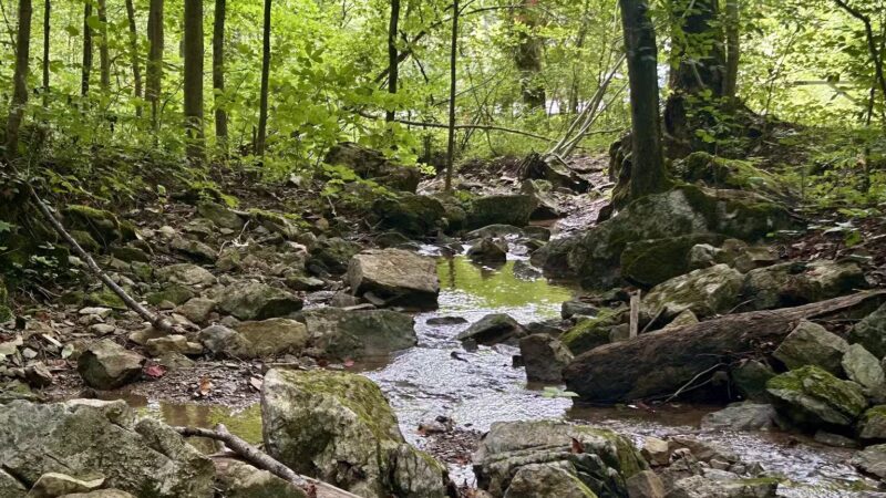 Cleveland Barrens Natural Area Preserve - Cleveland, VA