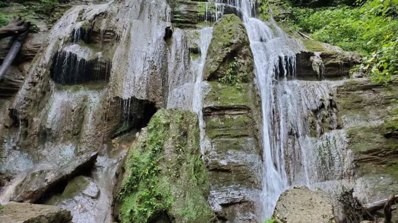 Cleveland Barrens Natural Area Preserve - Cleveland, VA