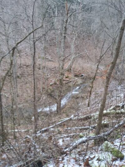 Cleveland Barrens Natural Area Preserve - Cleveland, VA