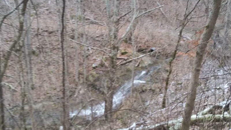 Cleveland Barrens Natural Area Preserve - Cleveland, VA