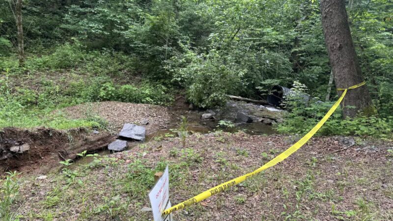 Cleveland Barrens Natural Area Preserve - Cleveland, VA