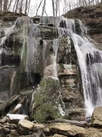 Cleveland Barrens Natural Area Preserve - Cleveland, VA