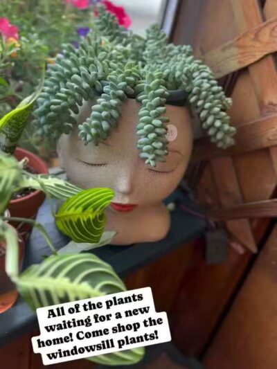 Happy Juice - Clintwood, VA