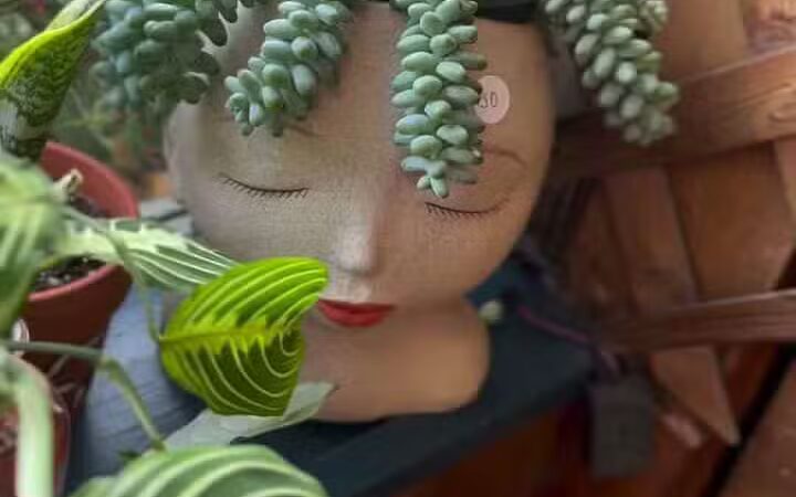 Happy Juice - Clintwood, VA