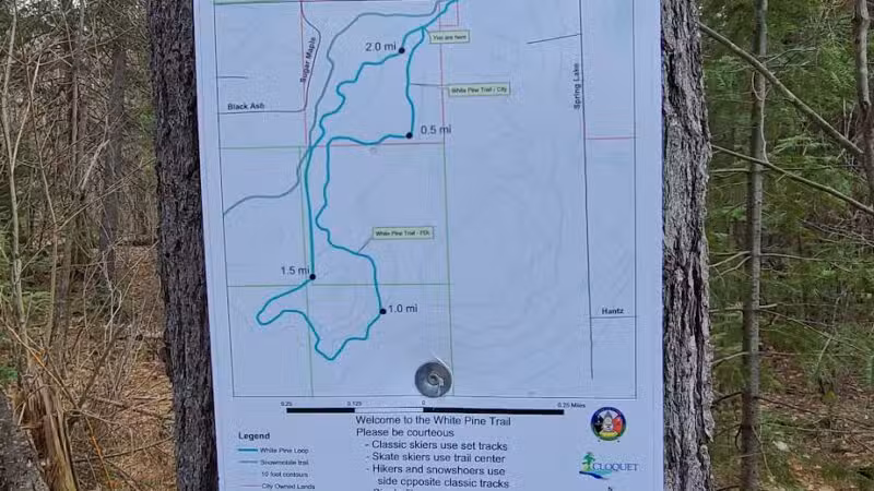 Pine Valley Trail System White Pine Loop - Cloquet, MN