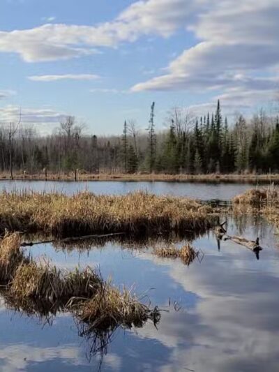 Pine Valley Trail System White Pine Loop - Cloquet, MN
