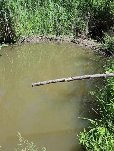 Ashland Trail - Cockeysville, MD