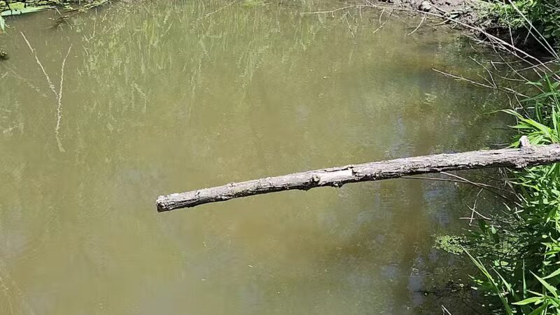 Ashland Trail - Cockeysville, MD