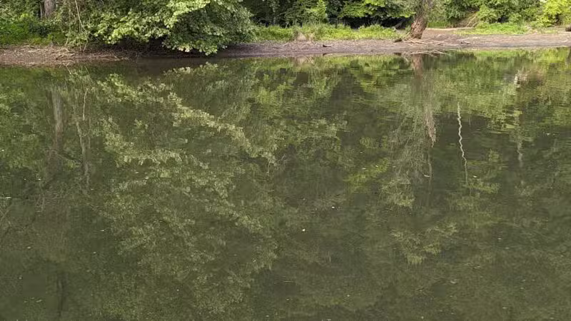 Ashland Trail - Cockeysville, MD