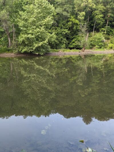 Ashland Trail - Cockeysville, MD