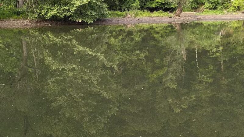 Ashland Trail - Cockeysville, MD