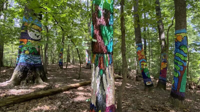 Oregon Ridge Park - Cockeysville, MD