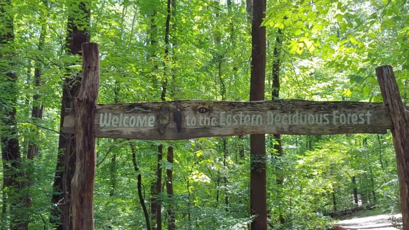 Oregon Ridge Park - Cockeysville, MD