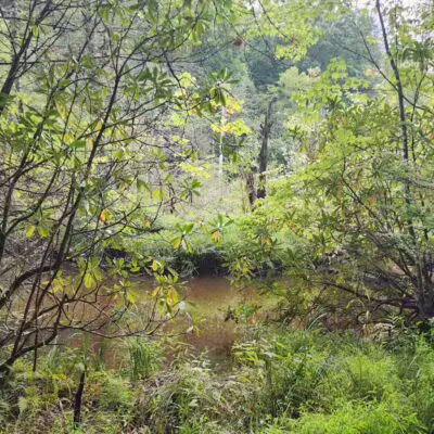 Bark Camp Recreation Area - Coeburn, VA