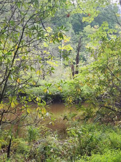 Bark Camp Recreation Area - Coeburn, VA