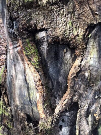 Bark Camp Recreation Area - Coeburn, VA