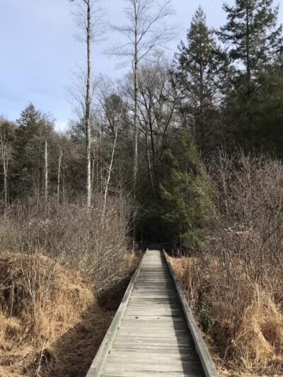 Bark Camp Recreation Area - Coeburn, VA