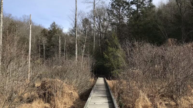 Bark Camp Recreation Area - Coeburn, VA