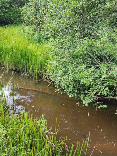 Bark Camp Recreation Area - Coeburn, VA