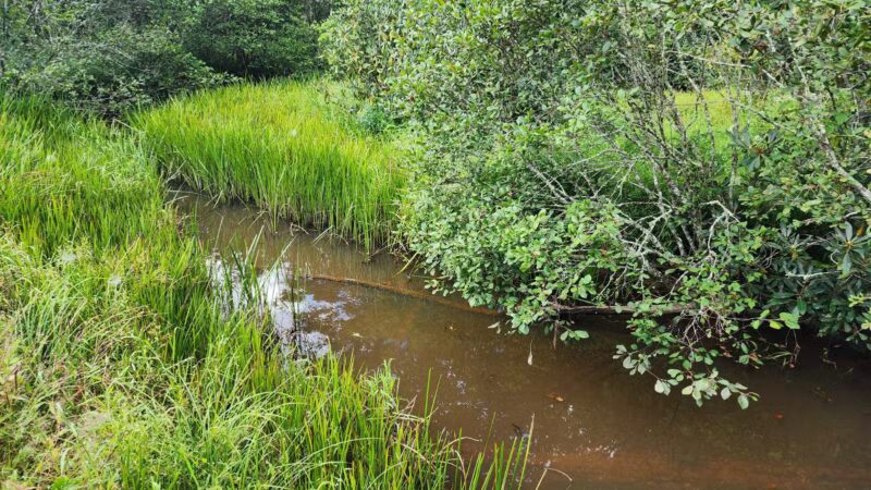 Bark Camp Recreation Area - Coeburn, VA