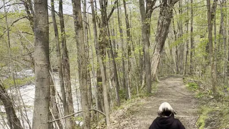 The Stone Valley Trail - Colton, NY