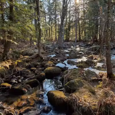 The Stone Valley Trail - Colton, NY