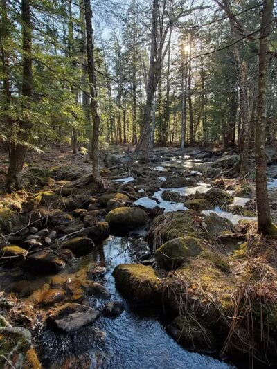 The Stone Valley Trail - Colton, NY
