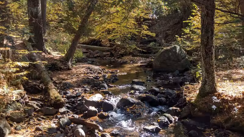 The Stone Valley Trail - Colton, NY