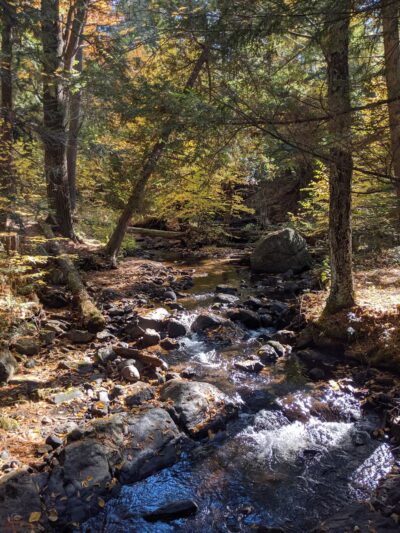 The Stone Valley Trail - Colton, NY