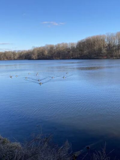 Lake Elkhorn Park - Columbia, MD
