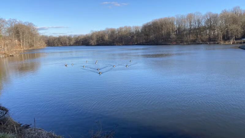 Lake Elkhorn Park - Columbia, MD