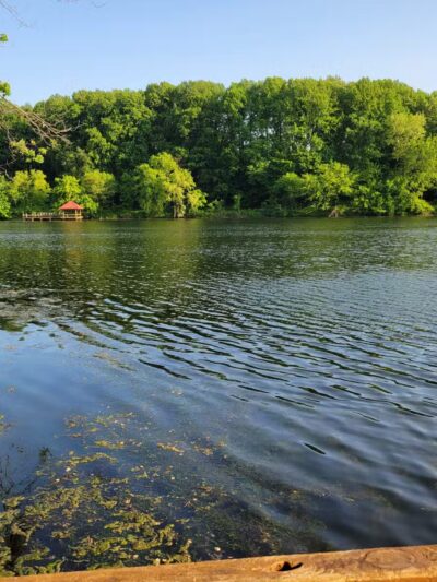 Lake Elkhorn Park - Columbia, MD