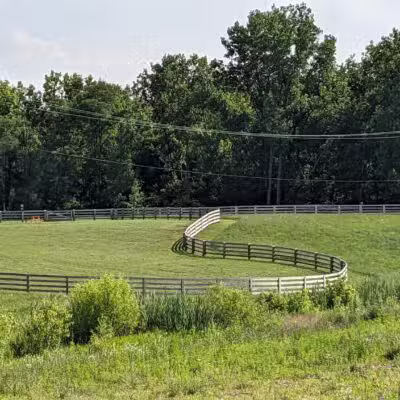 Quarry Trails Dog Park - Columbus, OH
