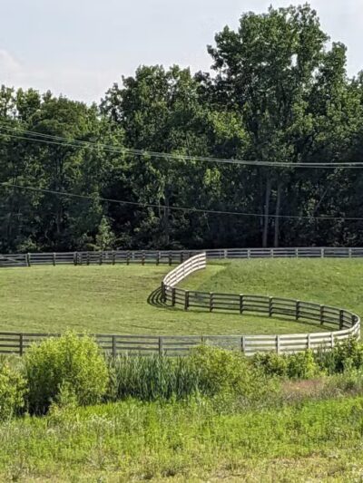 Quarry Trails Dog Park - Columbus, OH