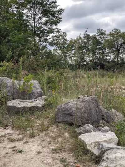 Quarry Trails Dog Park - Columbus, OH