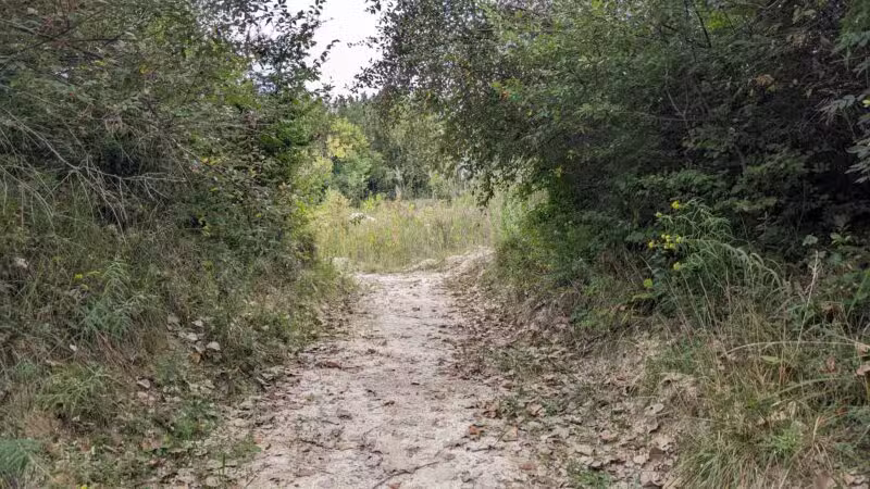 Quarry Trails Dog Park - Columbus, OH