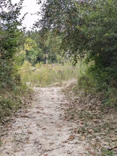 Quarry Trails Dog Park - Columbus, OH