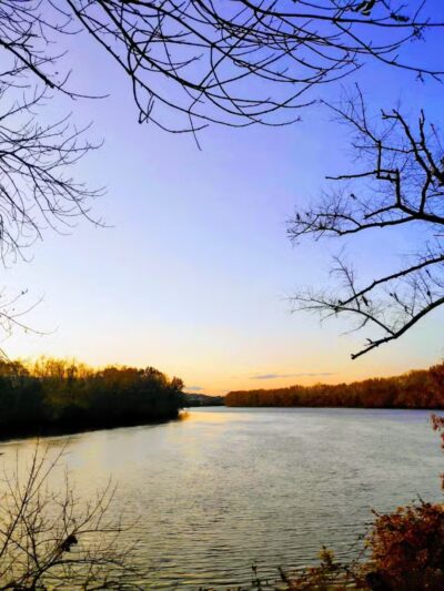 Terrill Park Dog Park - Concord, NH