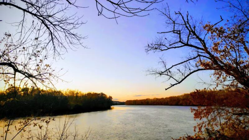 Terrill Park Dog Park - Concord, NH