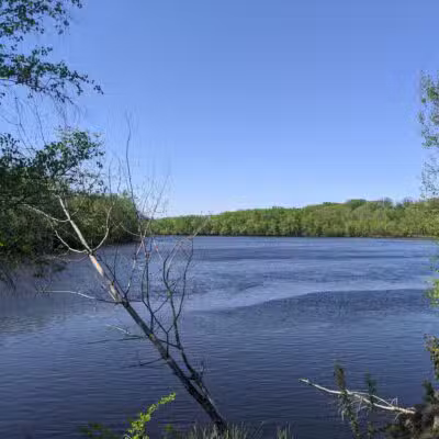 Terrill Park Dog Park - Concord, NH