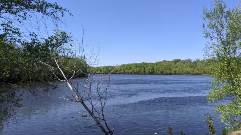 Terrill Park Dog Park - Concord, NH