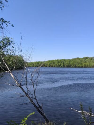 Terrill Park Dog Park - Concord, NH