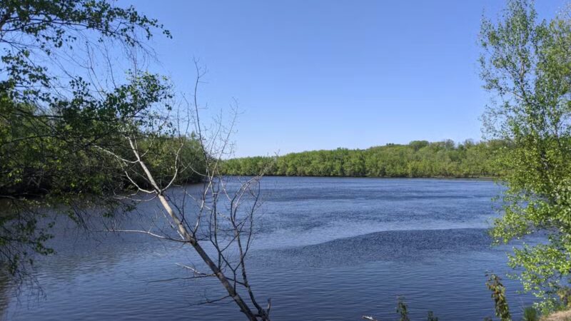 Terrill Park Dog Park - Concord, NH