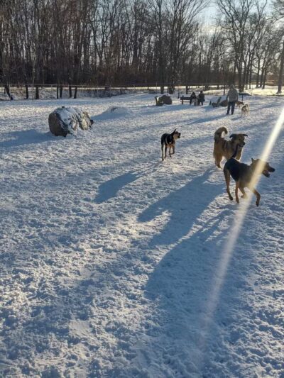 Terrill Park Dog Park - Concord, NH