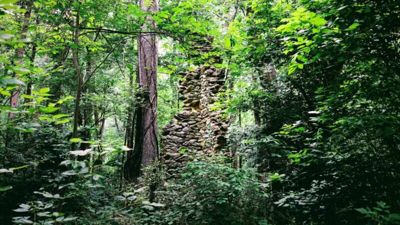 Funks Pond Recreational Area - Conowingo, MD