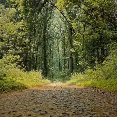 Funks Pond Recreational Area - Conowingo, MD