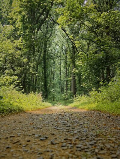 Funks Pond Recreational Area - Conowingo, MD