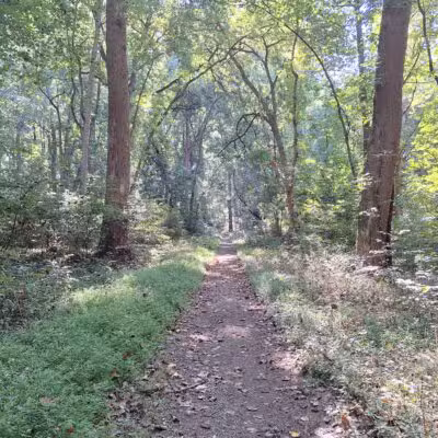 Funks Pond Recreational Area - Conowingo, MD